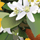 thumbnail of Savory logo